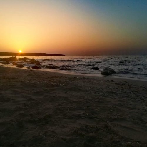 Οι σιχαμένες του καλοκαιριού