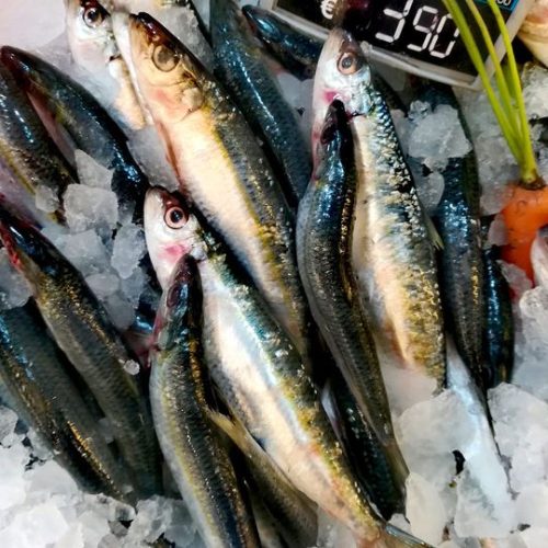 Φάτε, μάτια, ψάρια