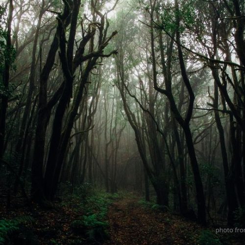 “Η κακιά η ώρα” έχει πιο σκοτεινές ρίζες απ’ όσο νομίζουμε.