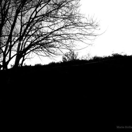 Μάρτης, γδάρτης