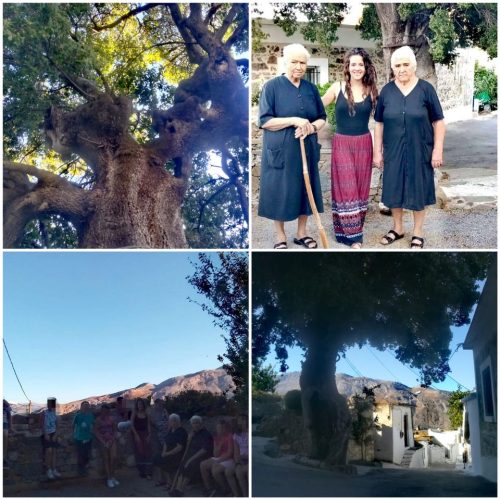 Καλωσορίζοντας το φθινόπωρο