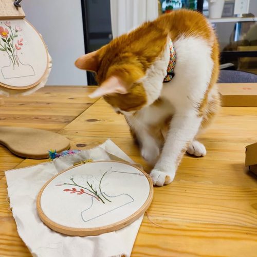 Όταν οι βελόνες μιλούν