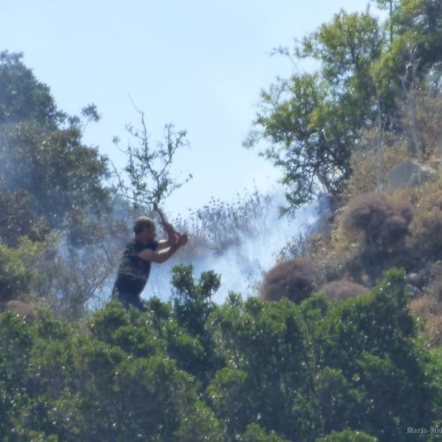 “Φωθιά”, φώναξε η Παρασκιώ